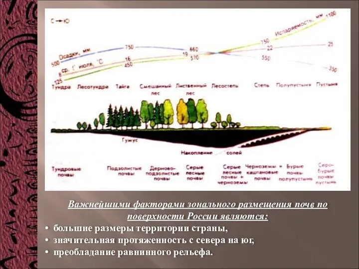 Важнейшими факторами зонального размещения почв по поверхности России являются: большие