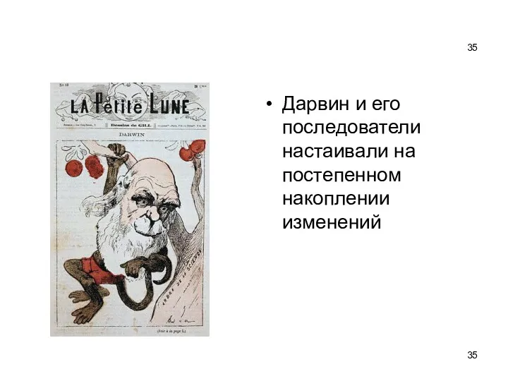 Дарвин и его последователи настаивали на постепенном накоплении изменений