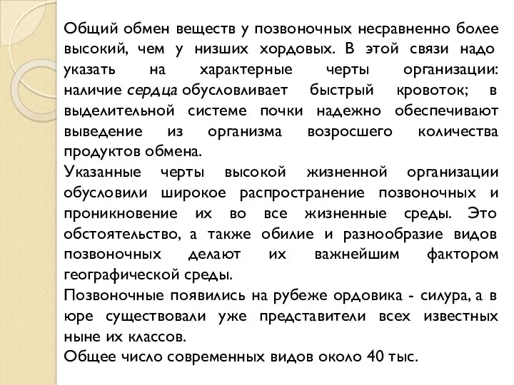 Общий обмен веществ у позвоночных несравненно более высокий, чем у низших хордовых. В