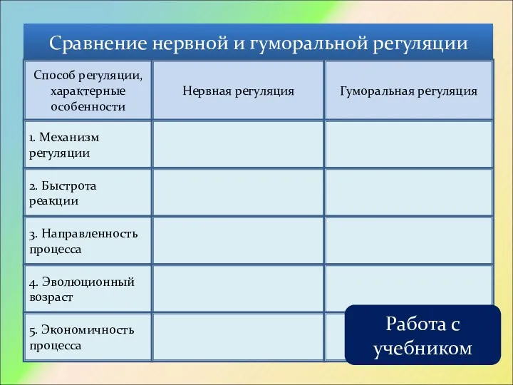 Сравнение нервной и гуморальной регуляции Способ регуляции, характерные особенности Нервная