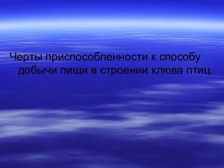 Черты приспособленности к способу добычи пищи в строении клюва птиц.