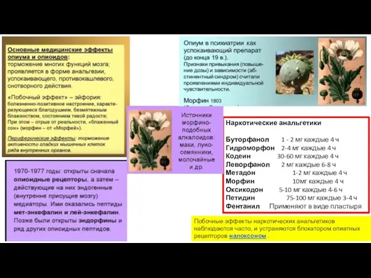 Наркотические анальгетики Буторфанол 1 - 2 мг каждые 4 ч