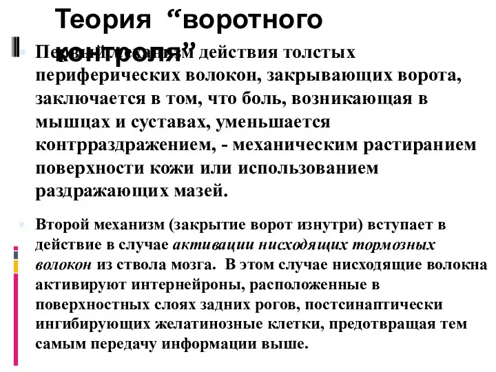 Теория “воротного контроля” Первый механизм действия толстых периферических волокон, закрывающих