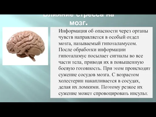 Влияние стресса на мозг. Информация об опасности через органы чувств