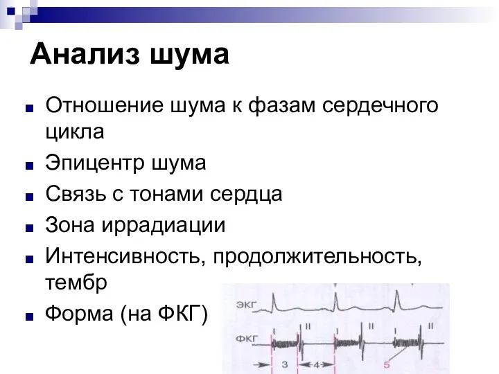 Анализ шума Отношение шума к фазам сердечного цикла Эпицентр шума Связь с тонами