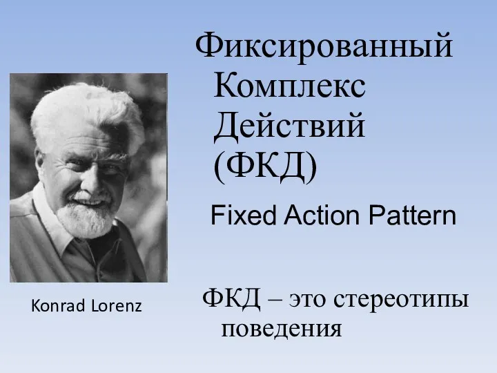 Фиксированный Комплекс Действий (ФКД) Fixed Action Pattern ФКД – это стереотипы поведения Konrad Lorenz