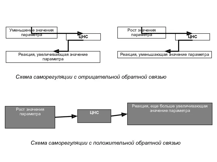 Схема саморегуляции с отрицательной обратной связью Рост значения параметра Уменьшение