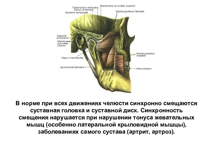 В норме при всех движениях челюсти синхронно смещаются суставная головка и суставной диск.