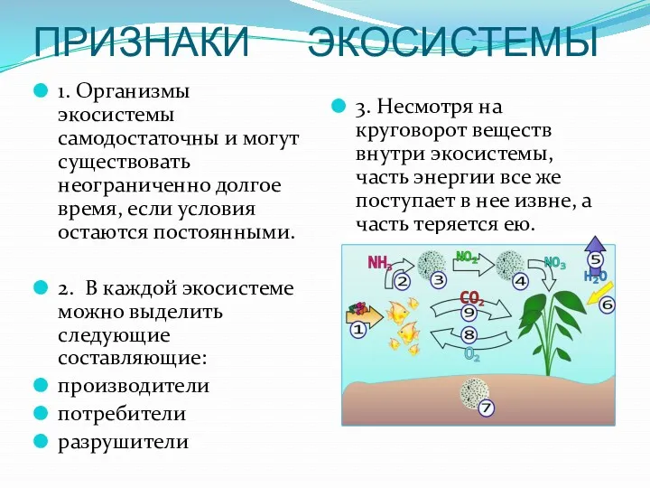 ПРИЗНАКИ ЭКОСИСТЕМЫ 1. Организмы экосистемы самодостаточны и могут существовать неограниченно