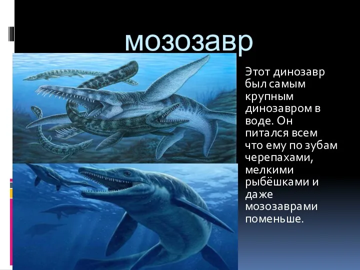 мозозавр Этот динозавр был самым крупным динозавром в воде. Он