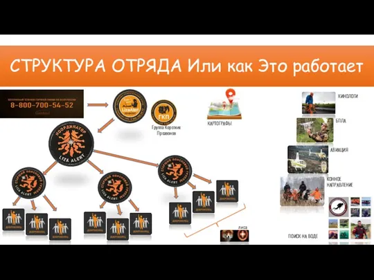 СТРУКТУРА ОТРЯДА Или как Это работает КИНОЛОГИ КОННОЕ НАПРАВЛЕНИЕ БПЛА