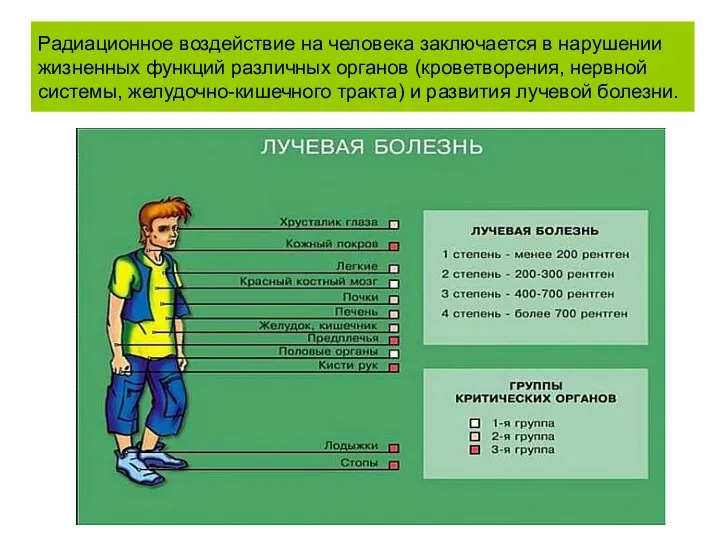 Радиационное воздействие на человека заключается в нарушении жизненных функций различных