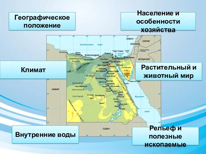 Географическое положение Рельеф и полезные ископаемые Внутренние воды Климат Растительный