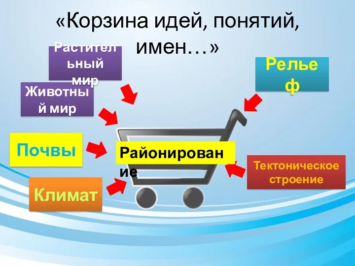 «Корзина идей, понятий, имен…» Тектоническое строение Климат Почвы Рельеф Животный мир Районирование Растительный мир