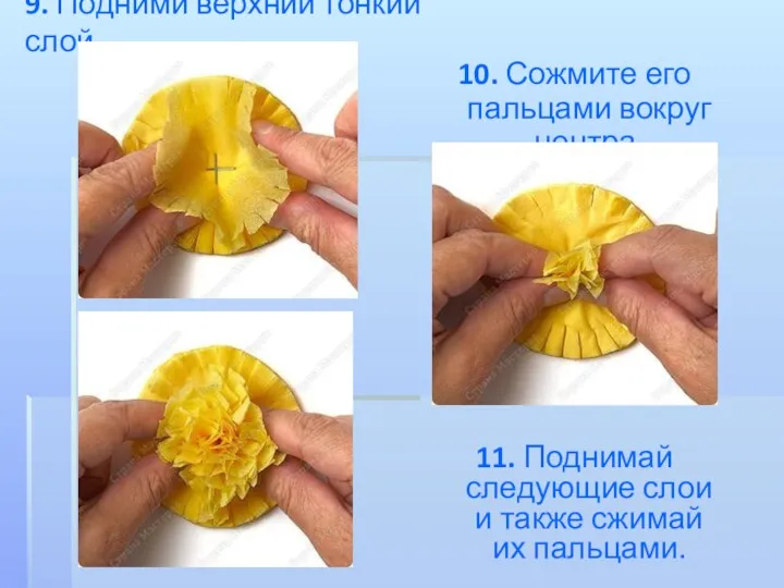 9. Подними верхний тонкий слой. 10. Сожмите его пальцами вокруг