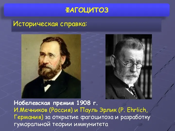 ФАГОЦИТОЗ Историческая справка: Нобелевская премия 1908 г. И.Мечников (Россия) и