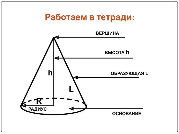 Работаем в тетради: ОСНОВАНИЕ ВЕРШИНА ВЫСОТА h R РАДИУС ОБРАЗУЮЩАЯ L L h