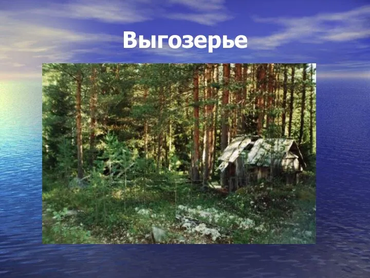 Выгозерье Из писцовых книг: «1563 год. Деревня Вожмосалма – крестьянин