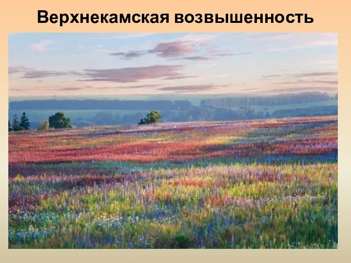 Верхнекамская возвышенность