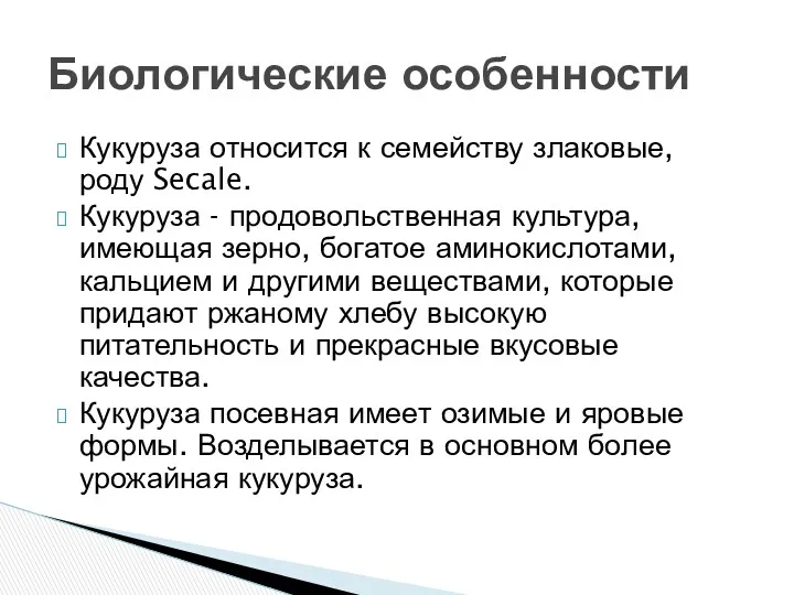 Кукуруза относится к семейству злаковые, роду Secale. Кукуруза - продовольственная культура, имеющая зерно,