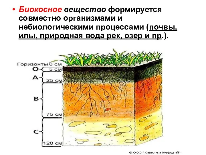 Биокосное вещество формируется совместно организмами и небиологическими процессами (почвы, илы, природная вода рек, озер и пр.).