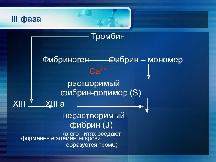 III фаза Тромбин Фибриноген Фибрин – мономер Са++ растворимый фибрин-полимер