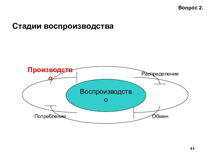 Стадии воспроизводства Вопрос 2. Воспроизводство