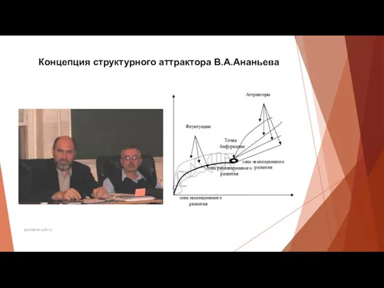 Концепция структурного аттрактора В.А.Ананьева psymaster.spb.ru