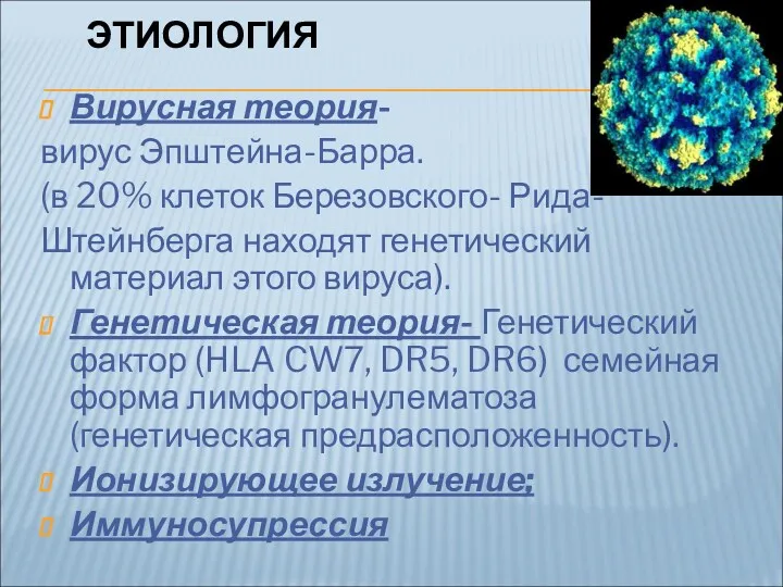 ЭТИОЛОГИЯ Вирусная теория- вирус Эпштейна-Барра. (в 20% клеток Березовского- Рида- Штейнберга находят генетический