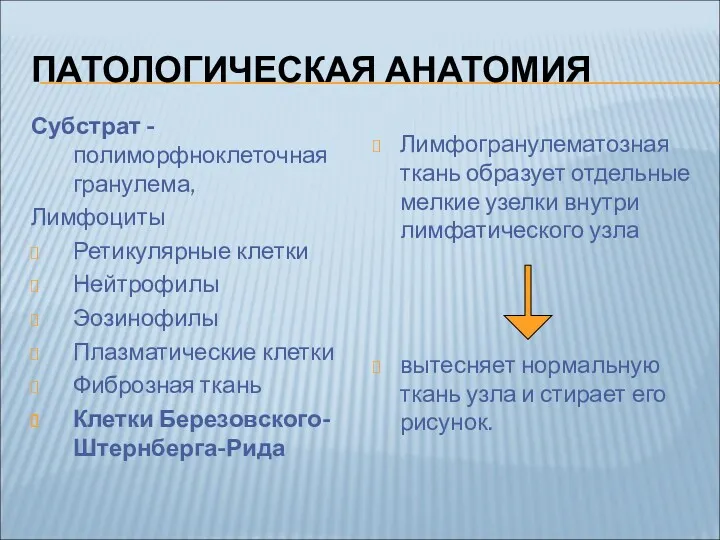 ПАТОЛОГИЧЕСКАЯ АНАТОМИЯ Субстрат - полиморфноклеточная гранулема, Лимфоциты Ретикулярные клетки Нейтрофилы