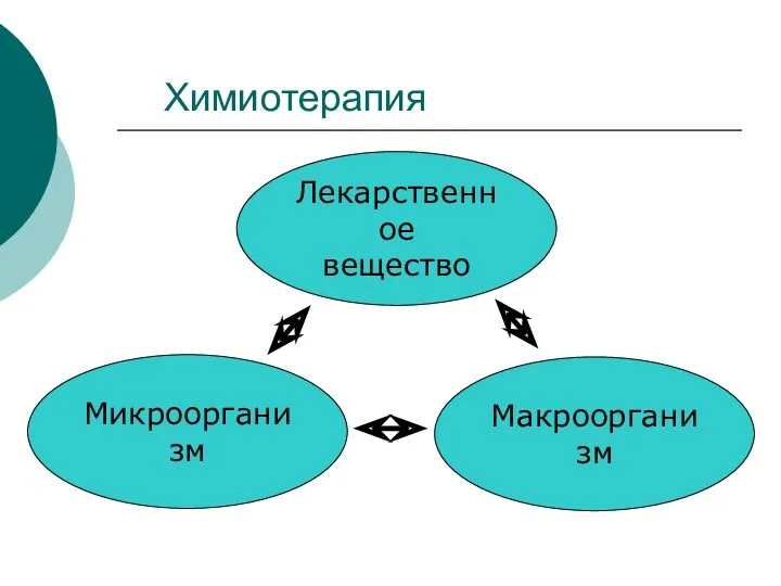 Химиотерапия Лекарственное вещество Макроорганизм Микроорганизм