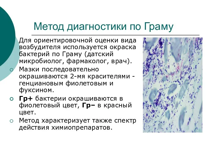 Метод диагностики по Граму Для ориентировочной оценки вида возбудителя используется