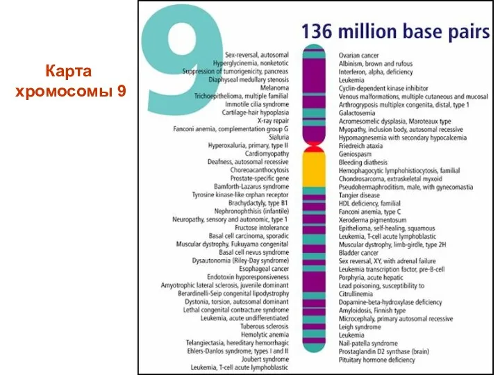 Карта хромосомы 9