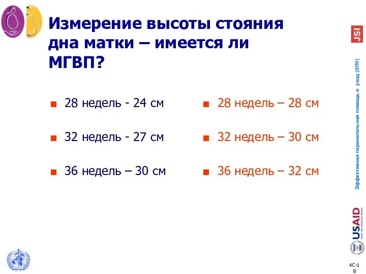 28 недель - 24 см 32 недель - 27 см