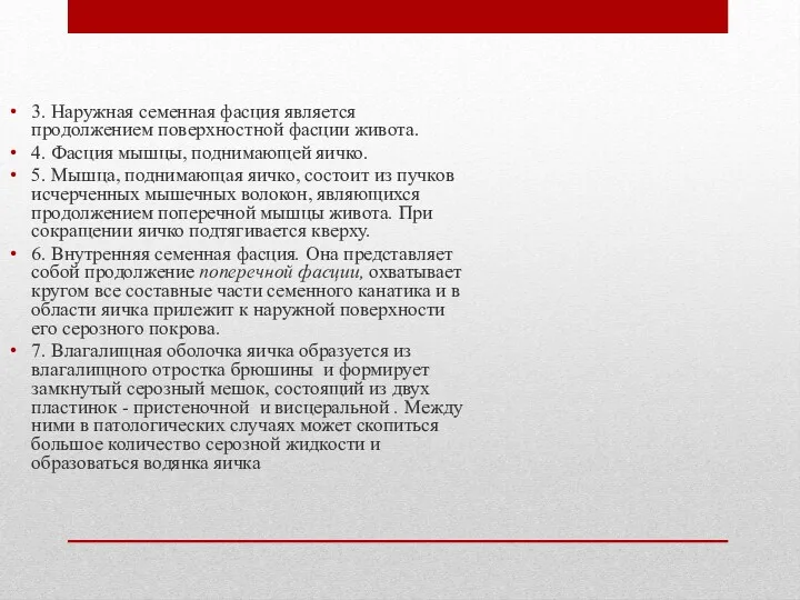 3. Наружная семенная фасция является продолжением поверхностной фасции живота. 4.