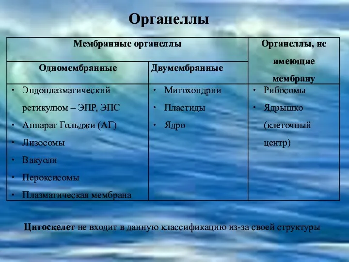 Органеллы Цитоскелет не входит в данную классификацию из-за своей структуры