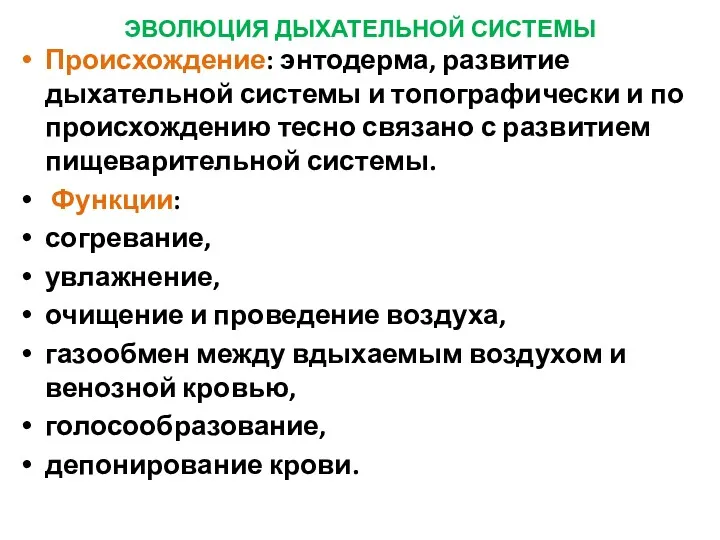 ЭВОЛЮЦИЯ ДЫХАТЕЛЬНОЙ СИСТЕМЫ Происхождение: энтодерма, развитие дыхательной системы и топографически