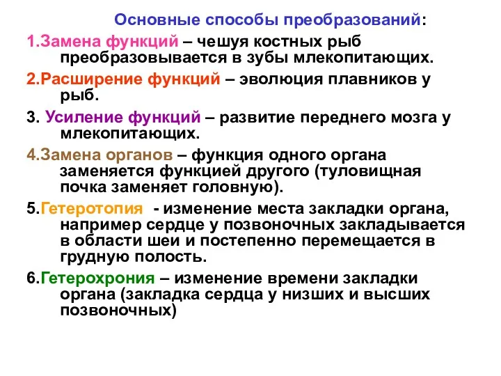 Основные способы преобразований: 1.Замена функций – чешуя костных рыб преобразовывается