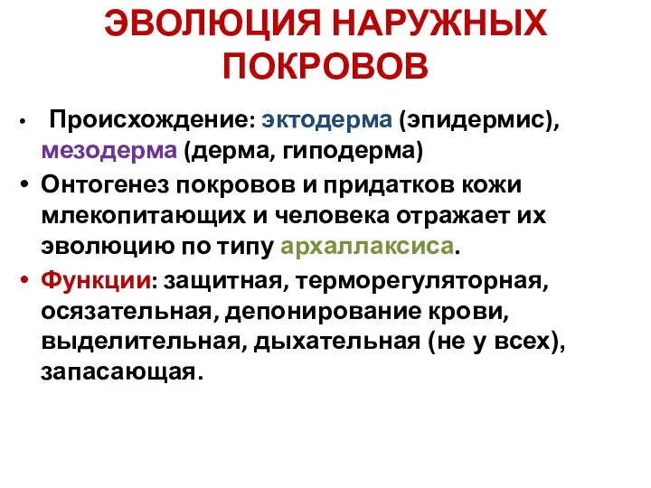 ЭВОЛЮЦИЯ НАРУЖНЫХ ПОКРОВОВ Происхождение: эктодерма (эпидермис), мезодерма (дерма, гиподерма) Онтогенез