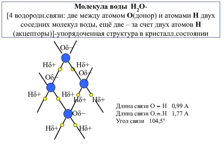 Молекула воды H2O- [4 водородн.связи: две между атомом О(донор) и