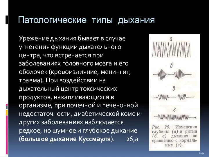 Патологические типы дыхания Урежение дыхания бывает в случае угнетения функции