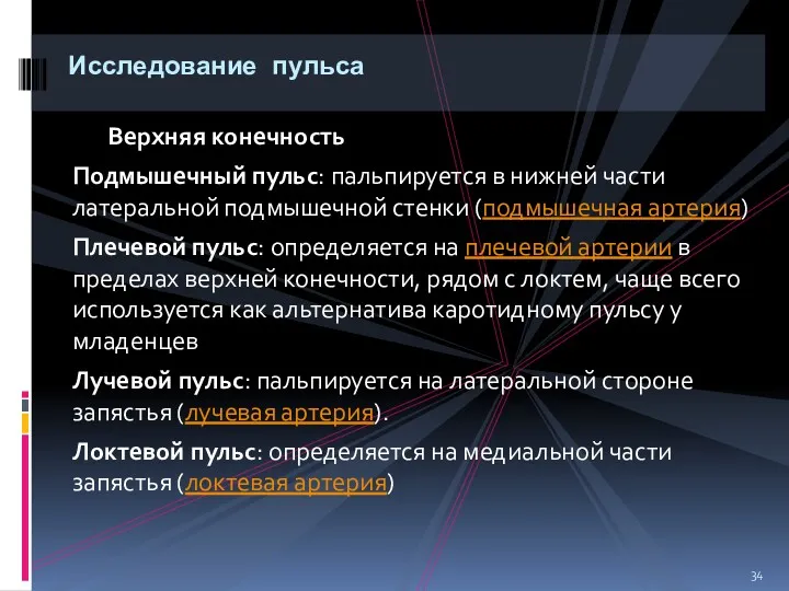 Верхняя конечность Подмышечный пульс: пальпируется в нижней части латеральной подмышечной