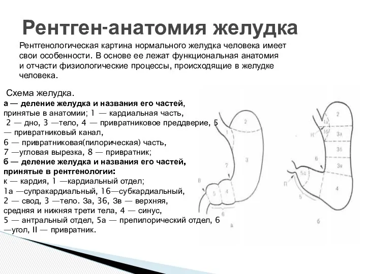 Рентгенологическая картина нормального желудка человека имеет свои особенности. В основе