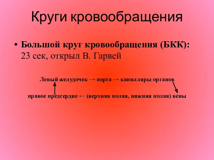 Круги кровообращения Большой круг кровообращения (БКК): 23 сек, открыл В.