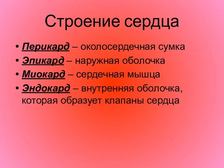 Строение сердца Перикард – околосердечная сумка Эпикард – наружная оболочка