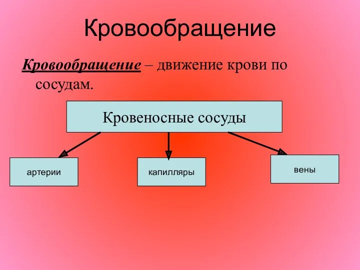 Кровообращение Кровообращение – движение крови по сосудам. Кровеносные сосуды артерии капилляры вены