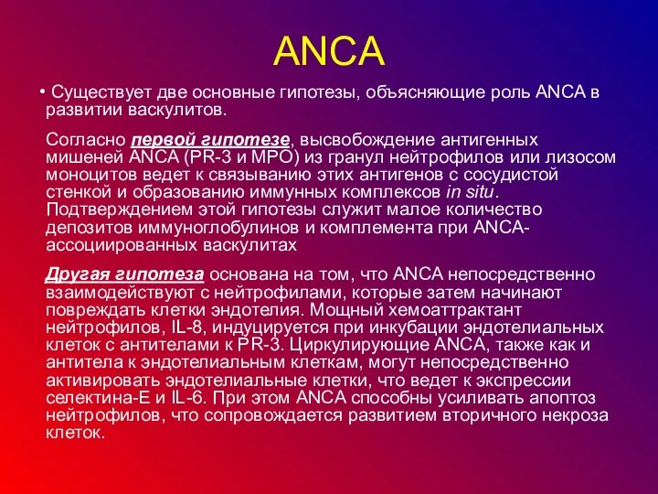 АNCА Существует две основные гипотезы, объясняющие роль ANCA в развитии васкулитов. Согласно первой