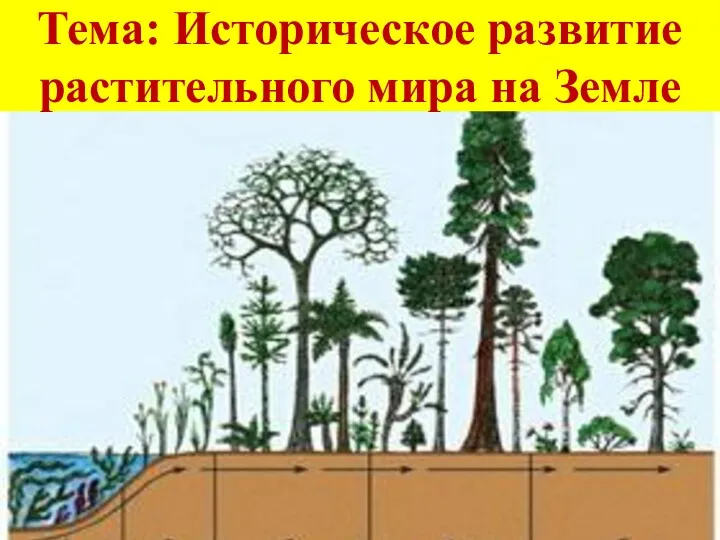 Тема: Историческое развитие растительного мира на Земле