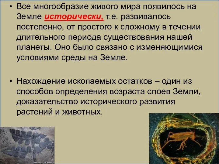 Все многообразие живого мира появилось на Земле исторически, т.е. развивалось