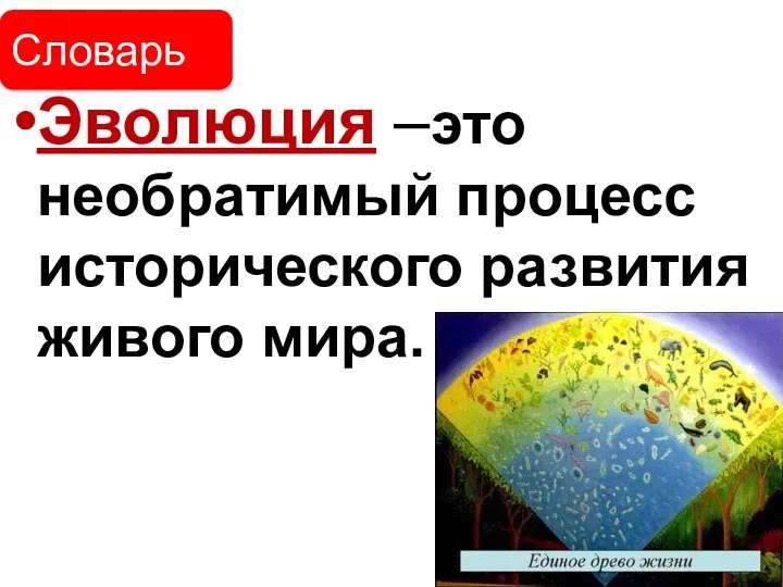 Эволюция –это необратимый процесс исторического развития живого мира. Словарь